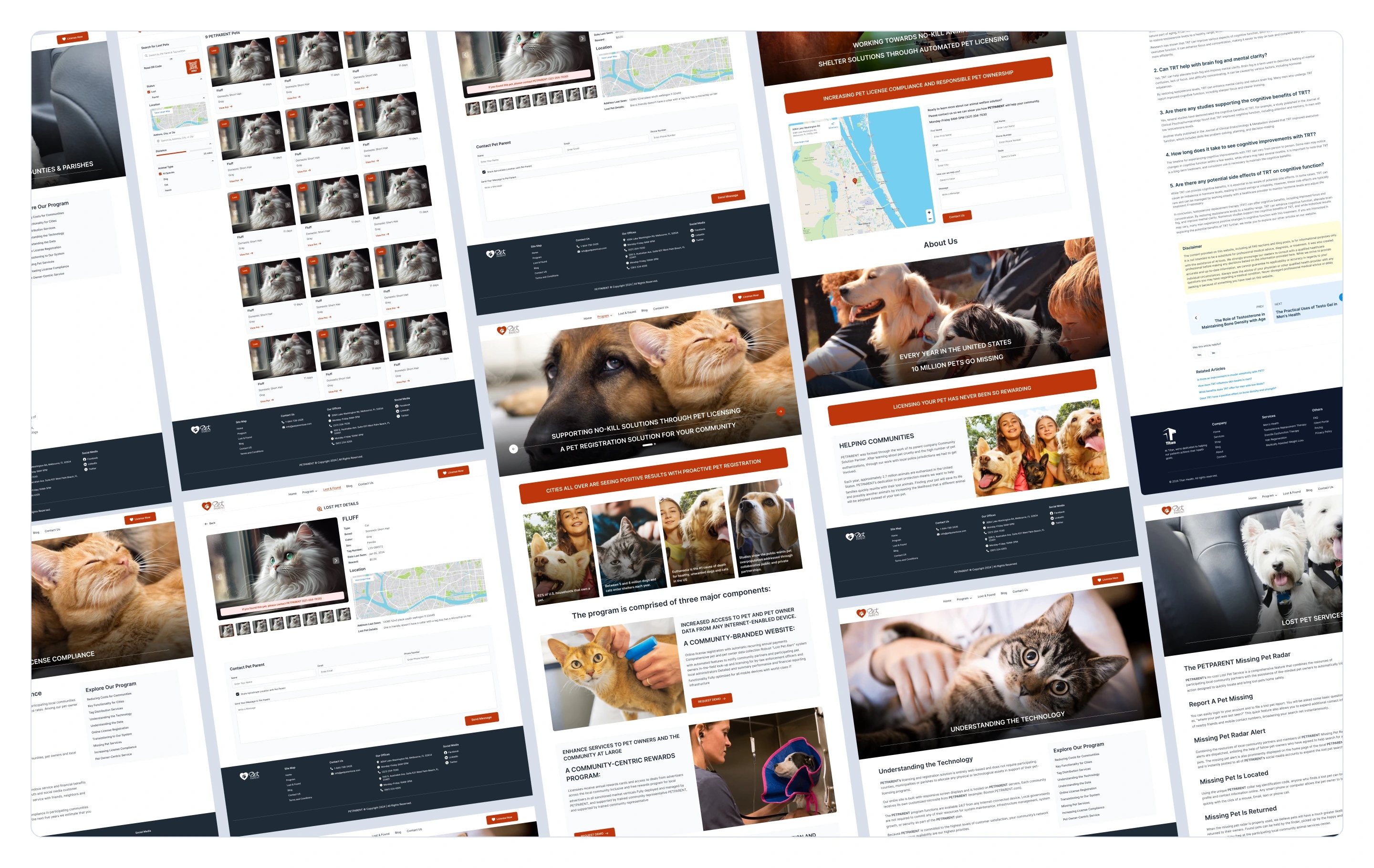 case study