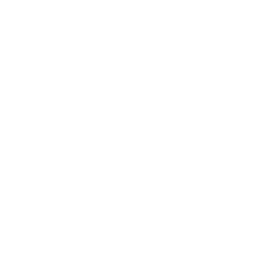rocket icon