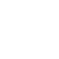 LLM