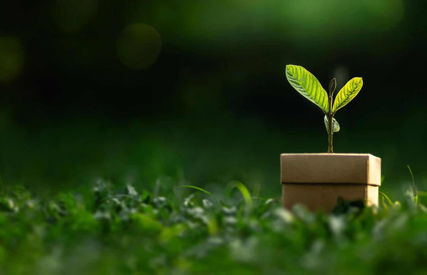Ertho sustainability platform