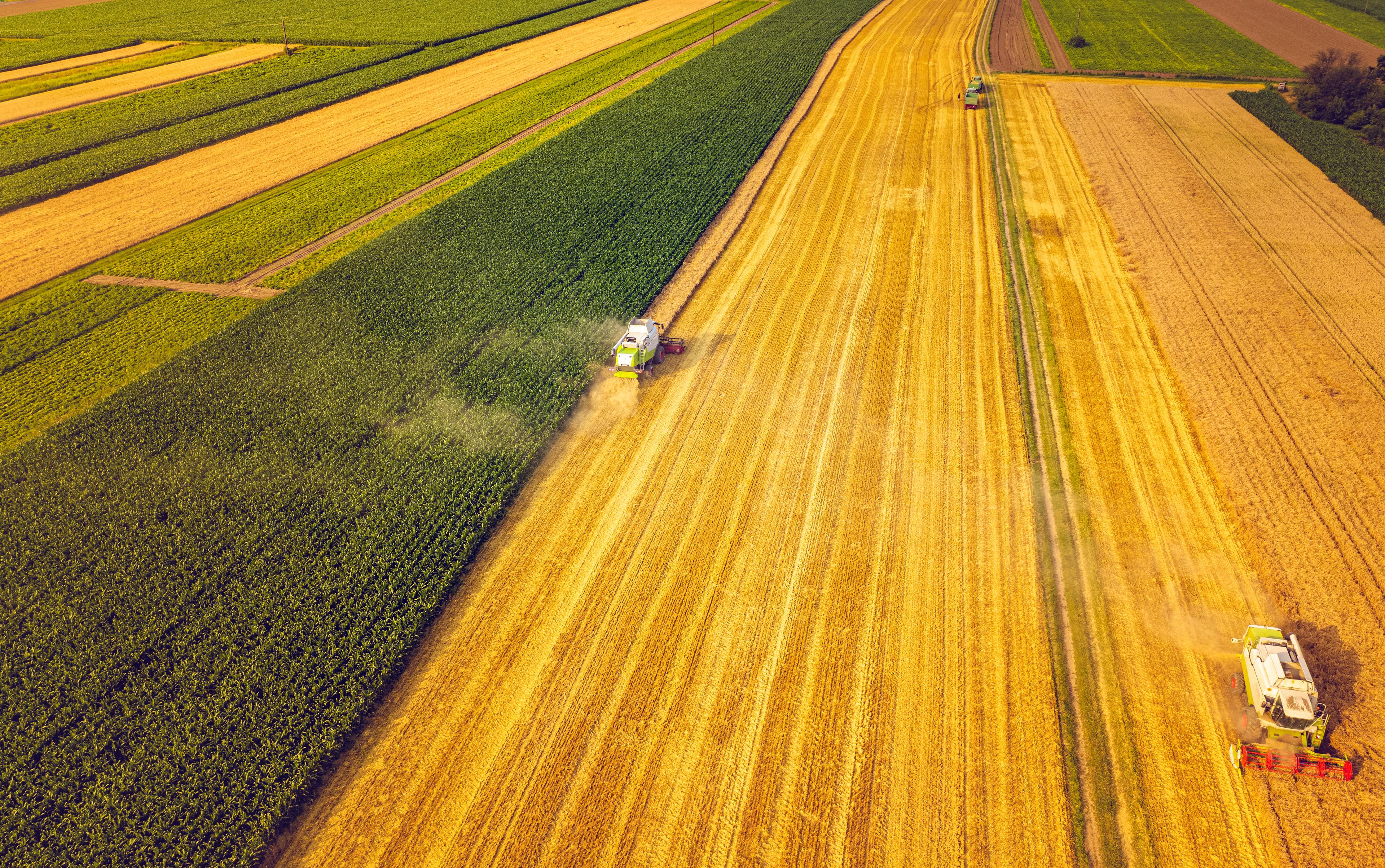 Agriculture